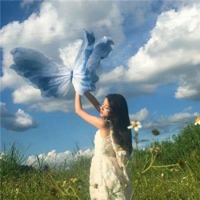 女主播风云